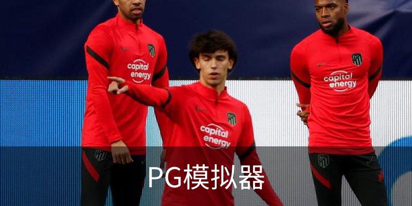 了解PG模拟器